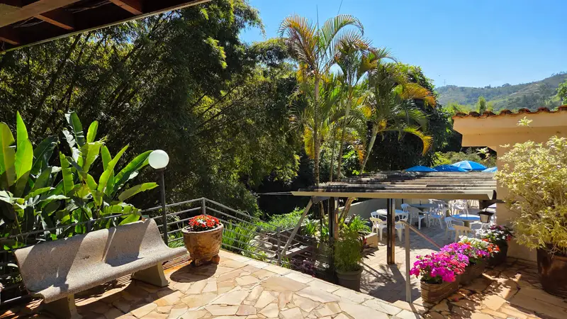Deck com bancos de madeira e vasos, de frente para a área da piscina